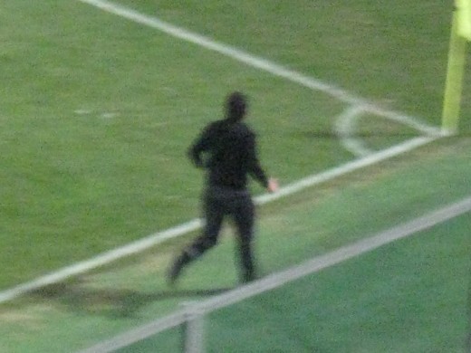 PALERMO-CESENA 2-1 019