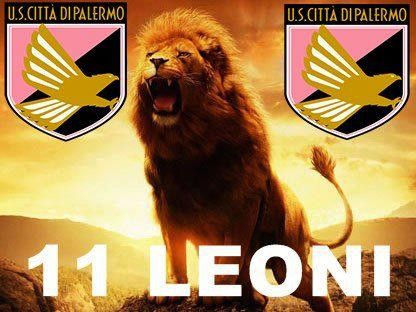 11 leoni